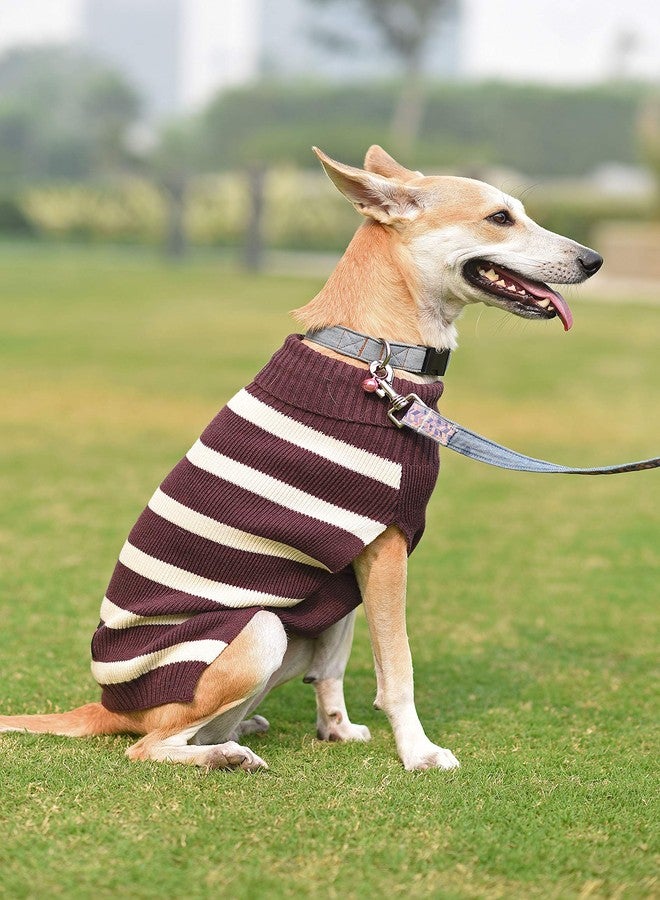 Mutt of Course كنزة صوفية بنفسجية (مقاس 3XL) من Mutt of Course Warm Regards، مناسبة للكلاب الهندية والدلماسية وغيرها من السلالات المشابهة. - Image 1